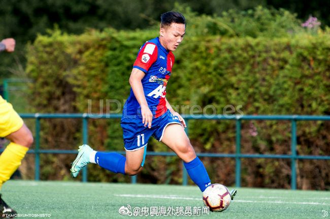 久久99精品久久久久久久野外
