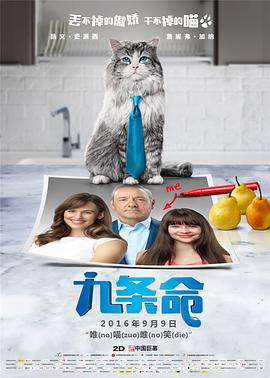 爱神马