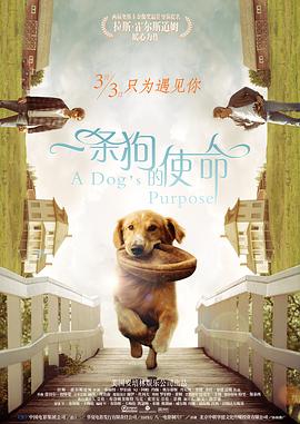 国产小便大全