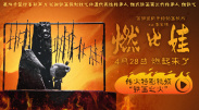 欧美性生活视频播放