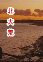 芙宁娜被旅行者导管