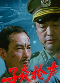 久久国内精品