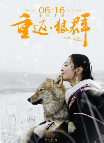 91视频苹果版