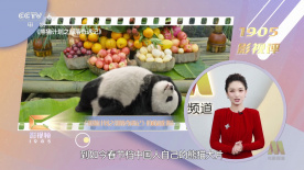 武汉军区