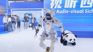 国产精品成人第一区